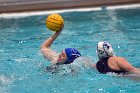 WWPolo vs CC  Wheaton College Women’s Water Polo vs Connecticut College. - Photo By: KEITH NORDSTROM : Wheaton, water polo